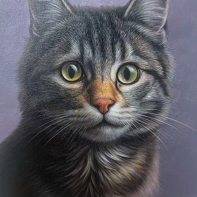 Hand-painted portrait of a Domestic Shorthair, showing the breed's coat and expression