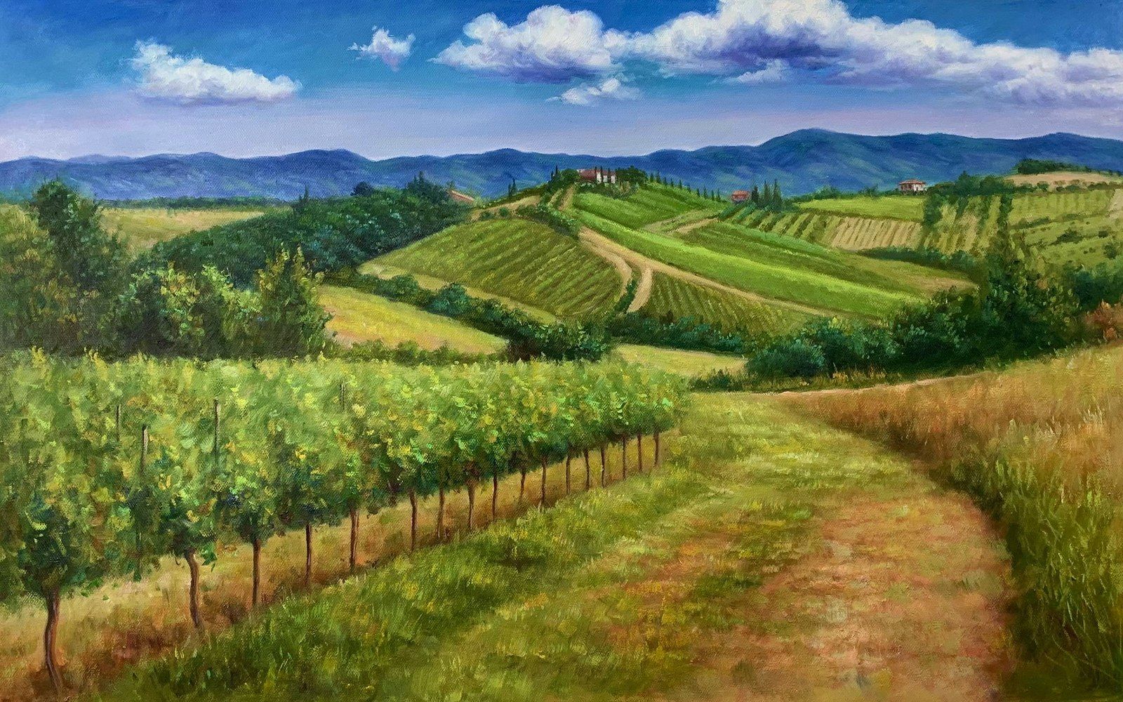 A pale path winding through rows of vines beneath a blue sky.
