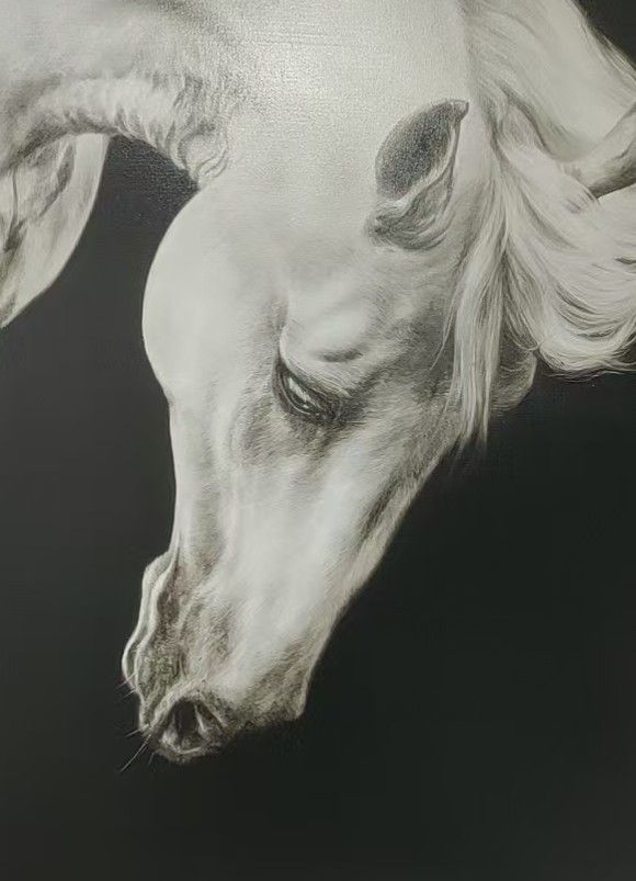 A white horse bends its head against a black ground, with carefully rendered mane and facial detail.