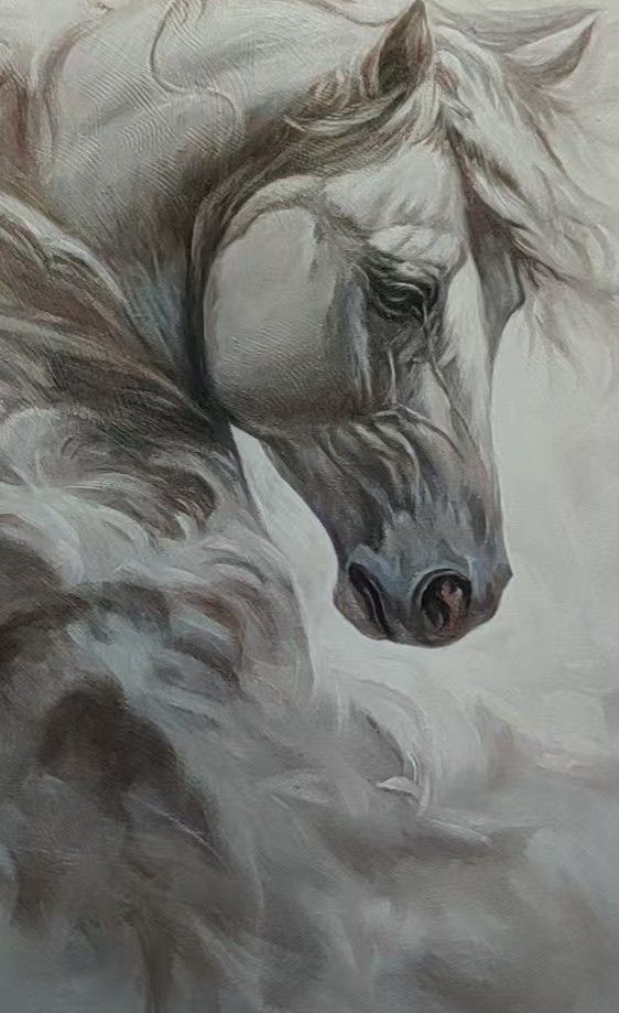 A white horse portrait with a windswept mane, displayed within a light cream frame.