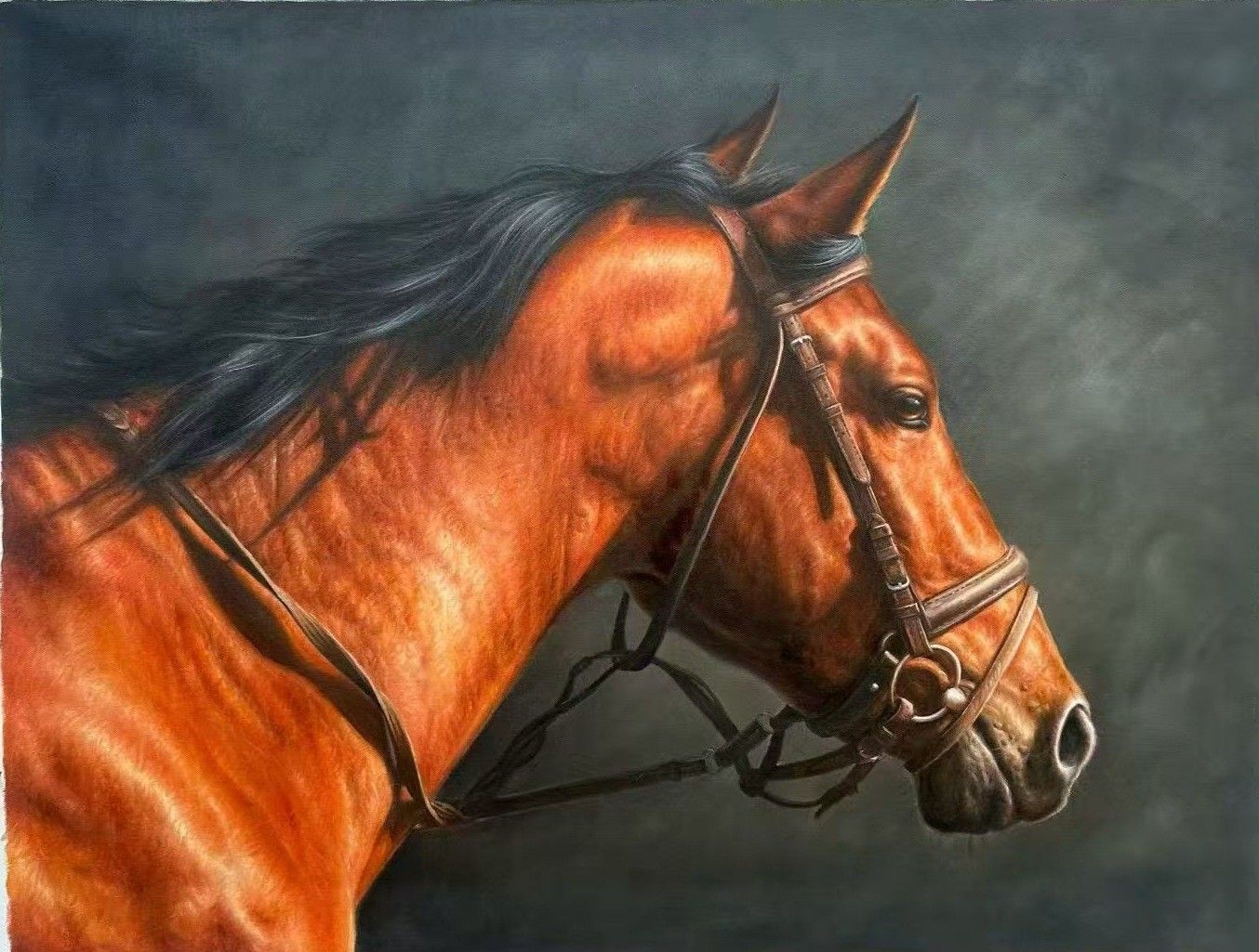 Hand-painted portrait of a bay horse in profile wearing a leather bridle, lit from the left against a dark grey background.