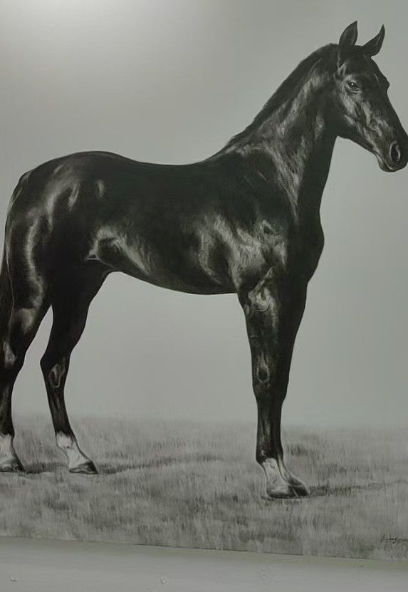 A dark horse stands in profile on a softly shaded ground, with a bright glare visible outside the canvas.