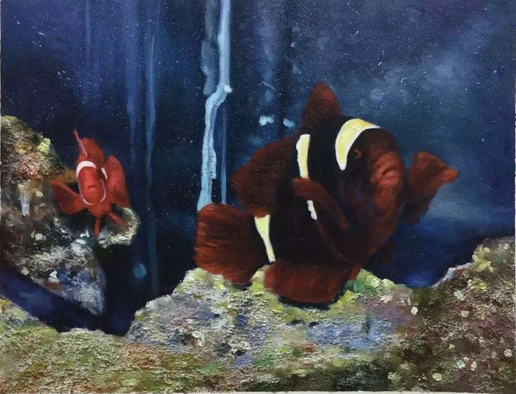 Clownfish among anemones in a blue underwater scene.